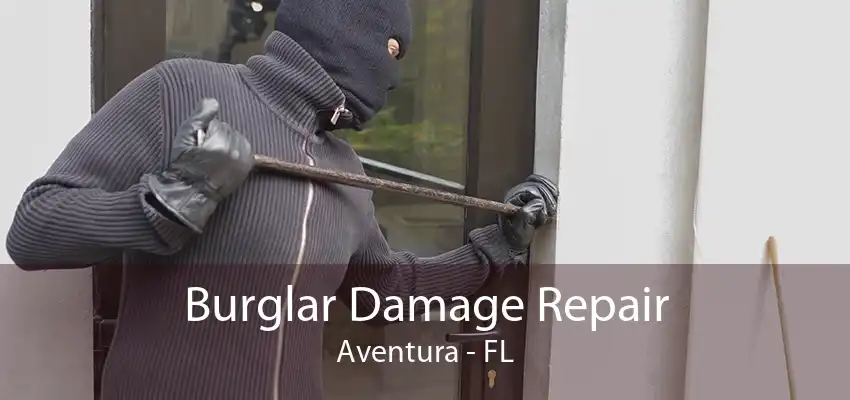 Burglar Damage Repair Aventura - FL