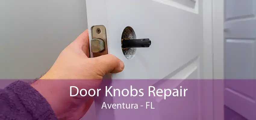 Door Knobs Repair Aventura - FL