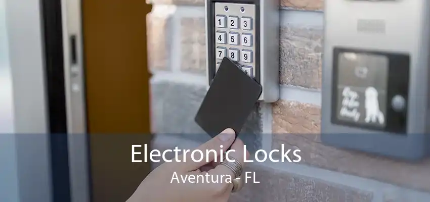 Electronic Locks Aventura - FL