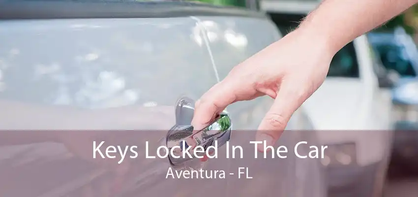 Keys Locked In The Car Aventura - FL